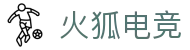 火狐电竞 - 助你从观赛到懂赛的进阶指南